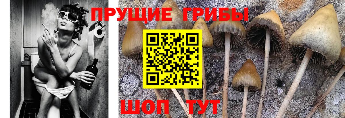 Трёхгорный  Псилоцибиновые грибы Magic Shrooms  Псилоцибиновые грибы Psilocybe  купить наркотики сайты  Вход с VPN 